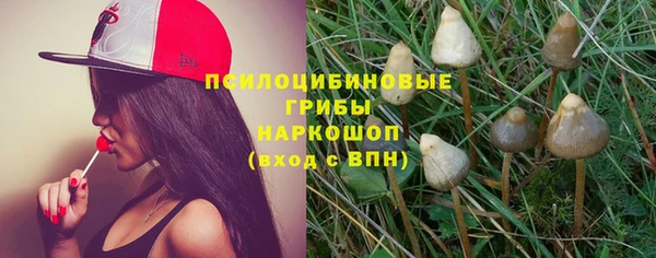 MDMA Новозыбков