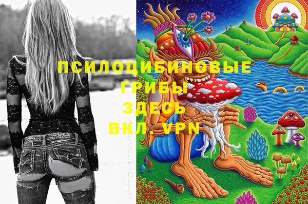 MDMA Новозыбков