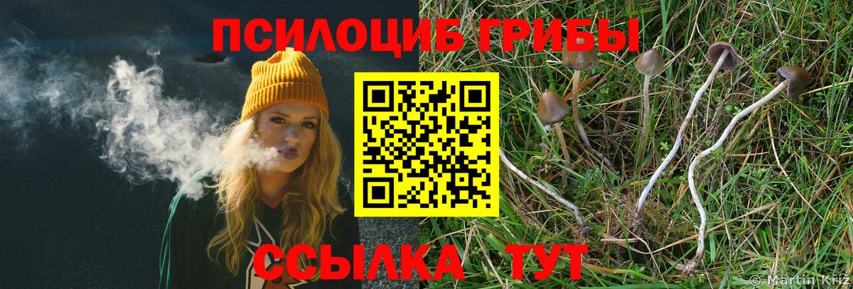 Псилоцибиновые грибы ЛСД Отрадное